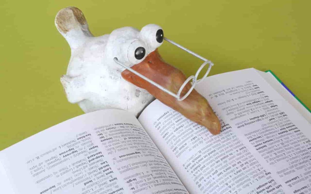 ما أساسيات الترجمة من الإنجليزي للعربي؟ 4 قواعد هامة للمترجم