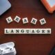 دليلك الشامل حول تخصص اللغات والترجمة